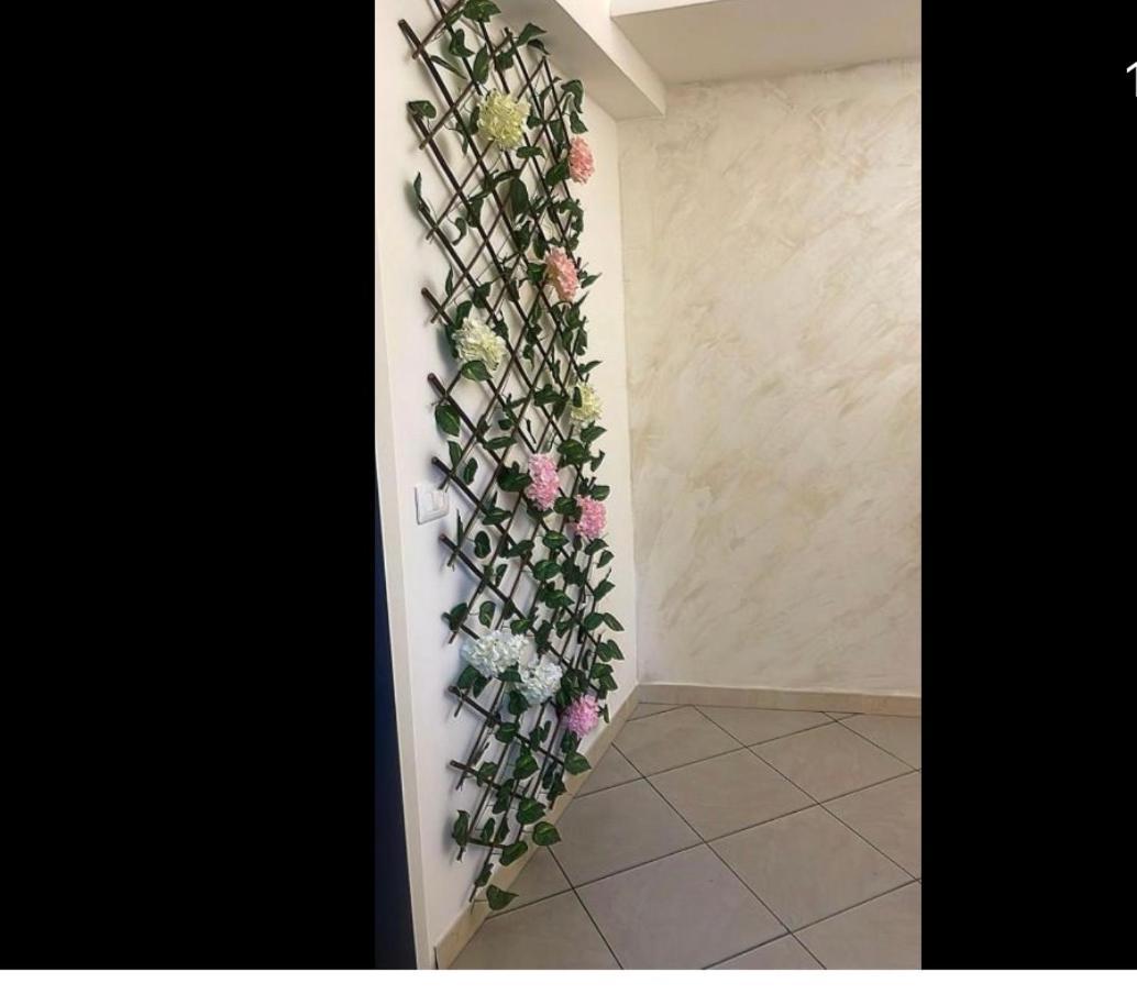 Holiday House Plebiscito Κατάνια Εξωτερικό φωτογραφία